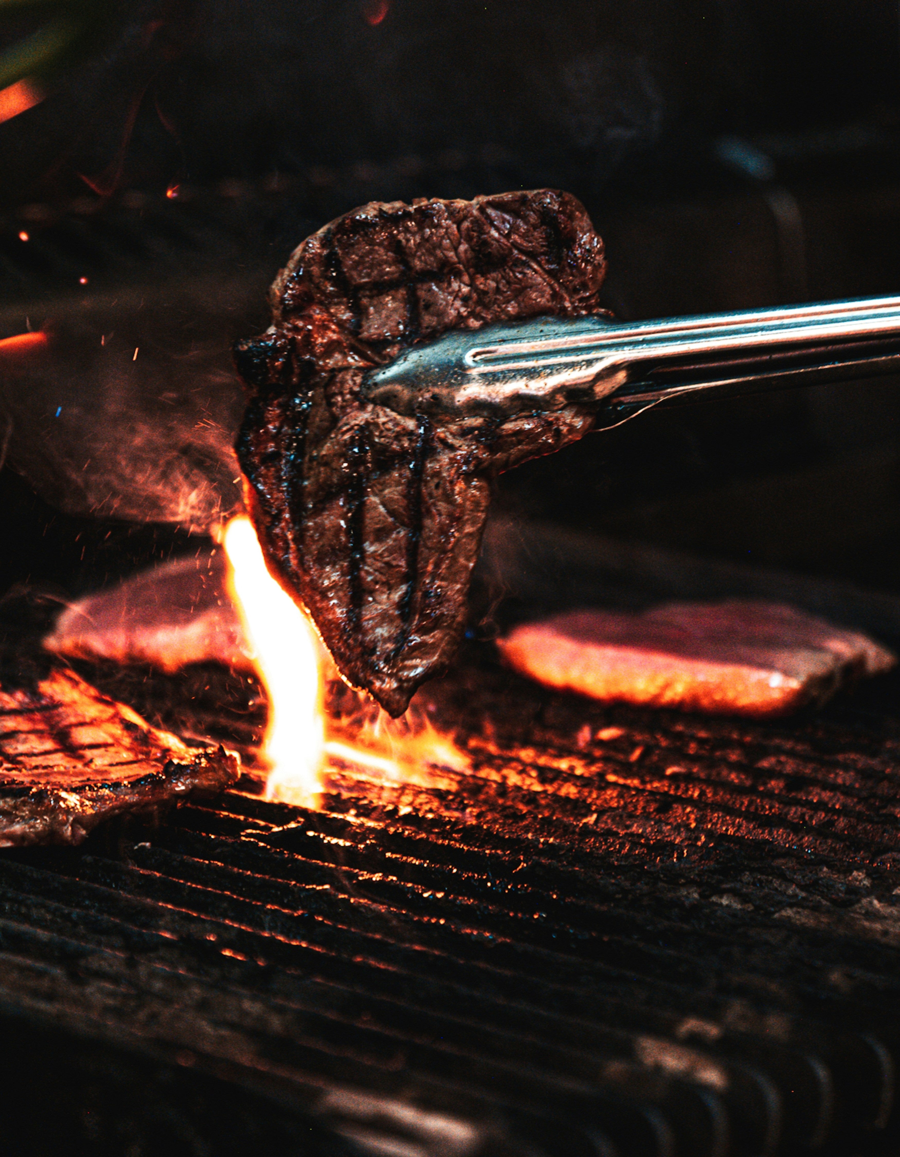 PREMIUM GRASS-FED BISON