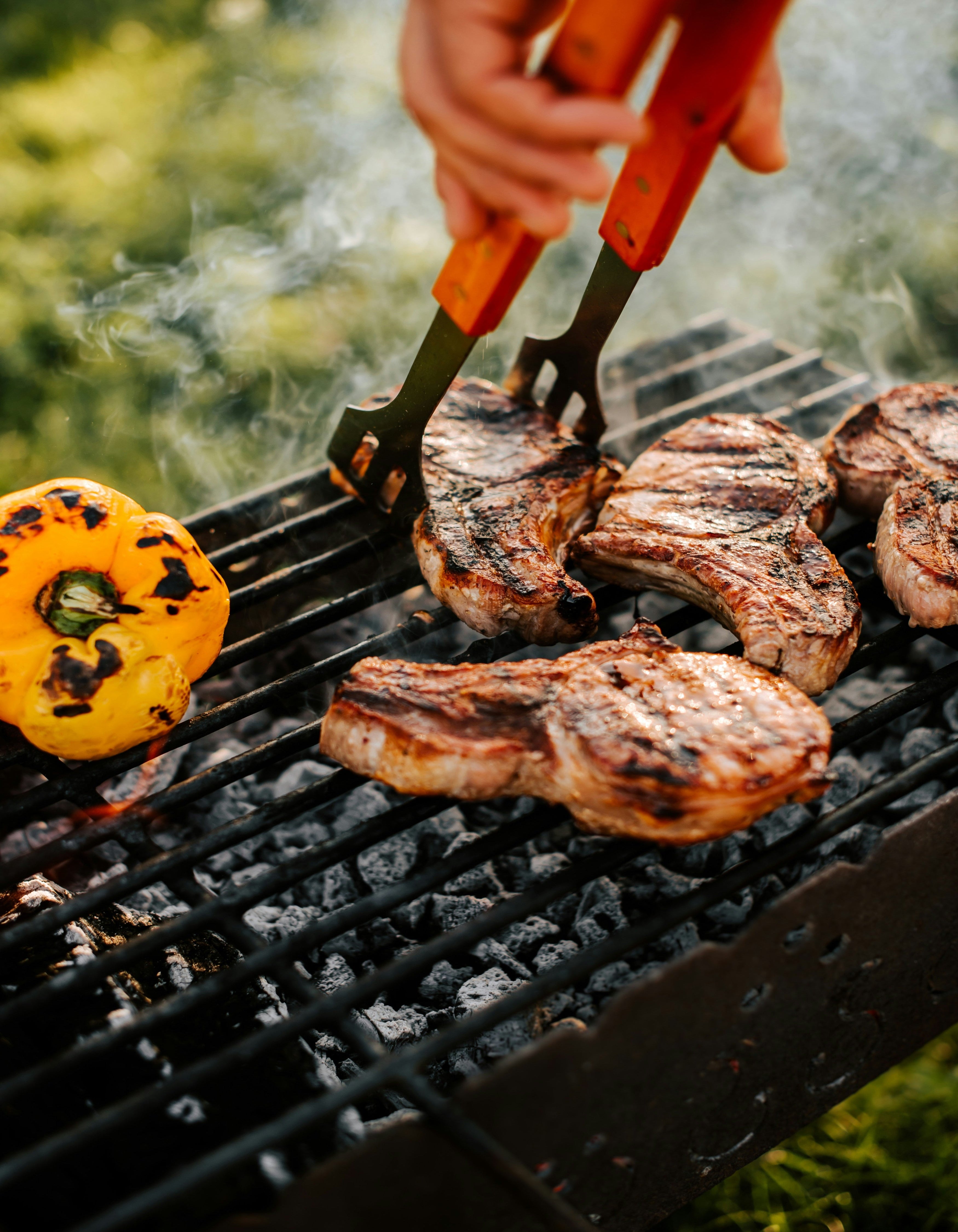 PREMIUM GRASS-FED BISON