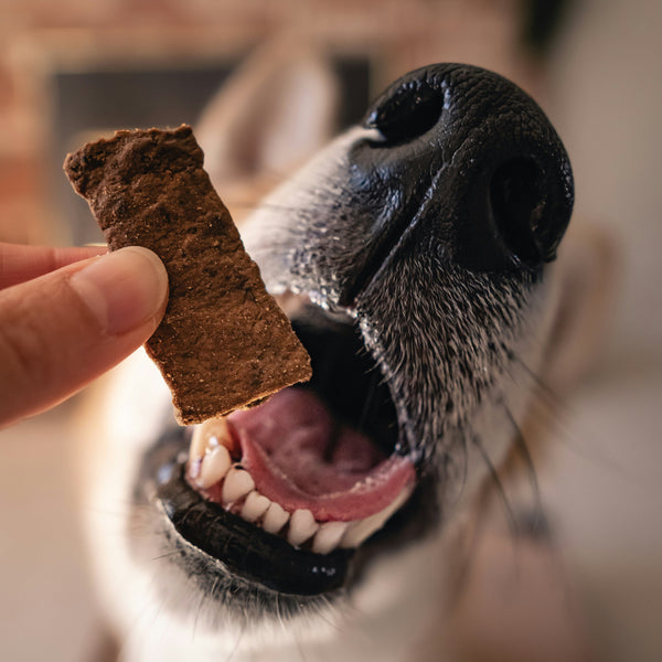 Bison Liver Dog & Cat Treats