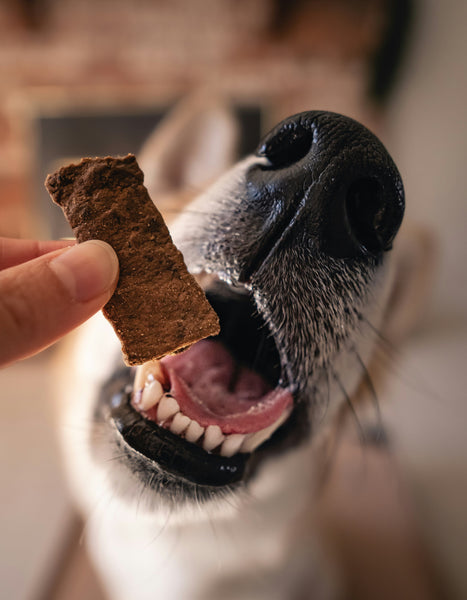 8) Bison Liver Dog & Cat Treats